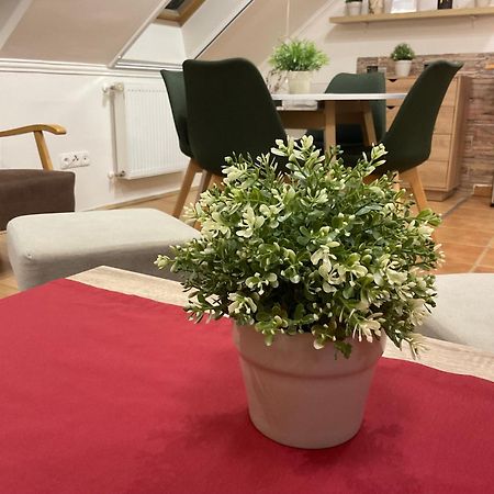 Sport Apartman Hajdúszoboszló Eksteriør bilde